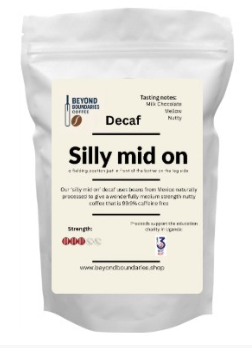 Silly mid on 250g